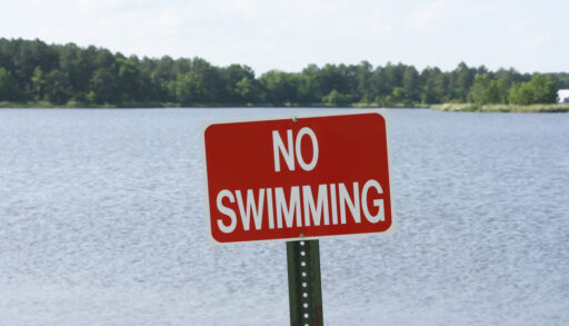 Red sign in front of a lake that reads "No Swimming".