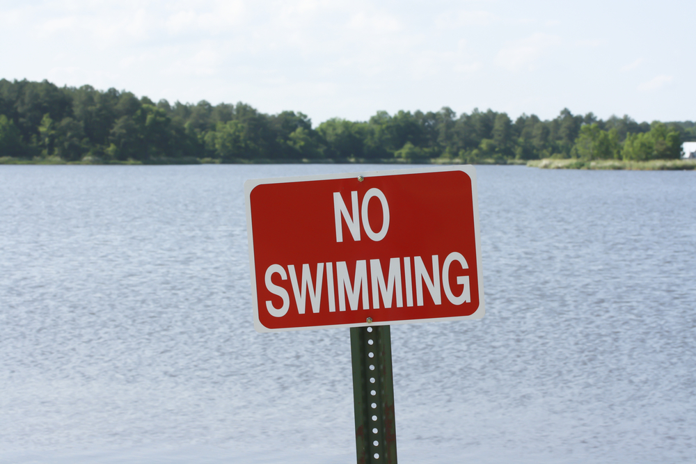 Red sign in front of a lake that reads "No Swimming".