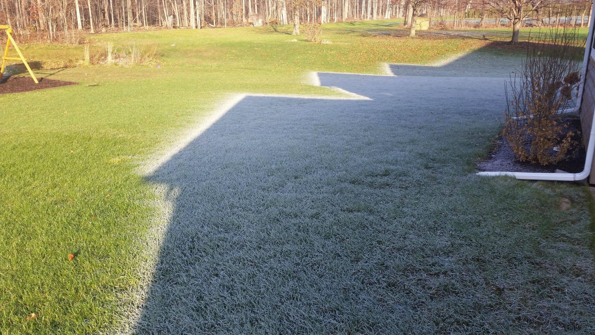 Frosty grass in shadow next to thawed grass in sun