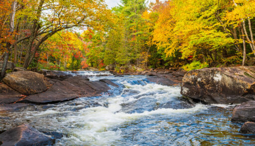 Autumn scene and river rapids in Oxtongue River Park in Dwight, Ontarion, Canada.