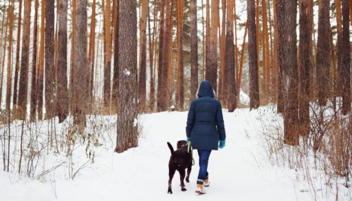 Person in a blue parka walking with their dog in a snowy forest.