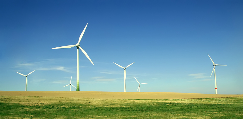 Wind turbines in a large flat field against blue sky.
