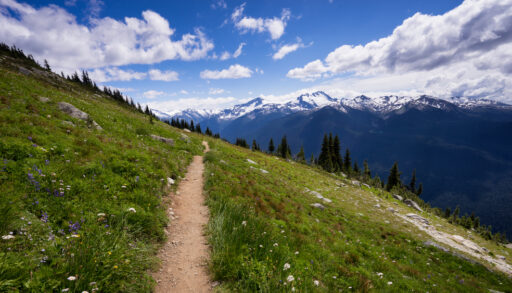 Hiking trail overlooking the Rocky Mountains on Blackcomb Mountain, Whistler, British Columbia, Canada.