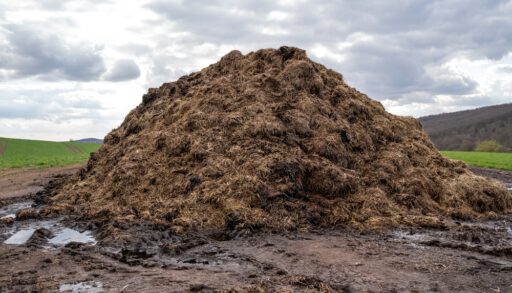 Massive pile of manure in a country field.