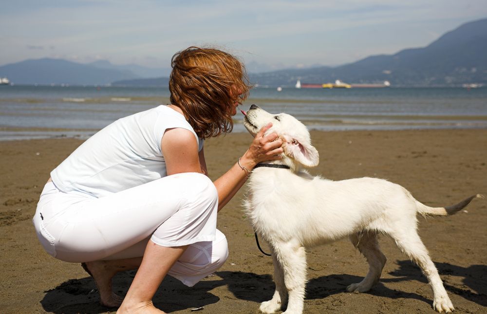 Woman leaning down to give her dog a kiss on a beach.