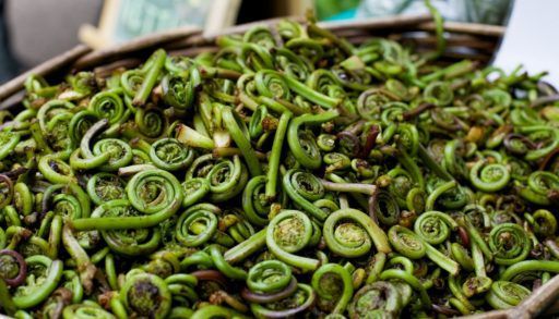 Fiddleheads for sale at a farmers market.