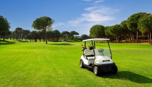 White golf cart sitting on a golf green with trees all around.