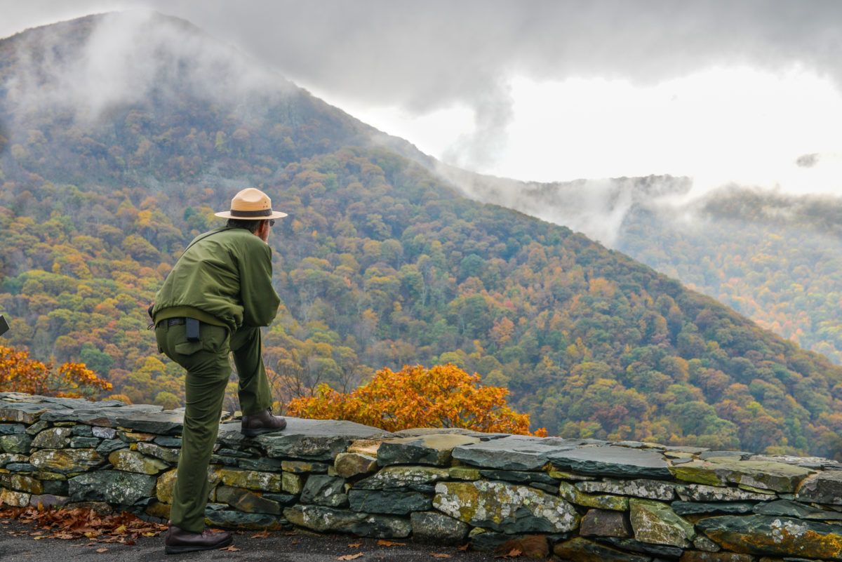 park ranger looking out onto cottage country