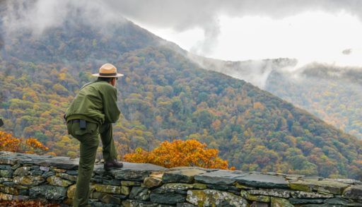 park ranger looking out onto cottage country