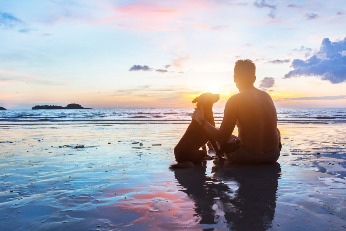 a dog and it's owner at the beach during sunset