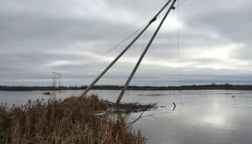 Saskatchewan power pole