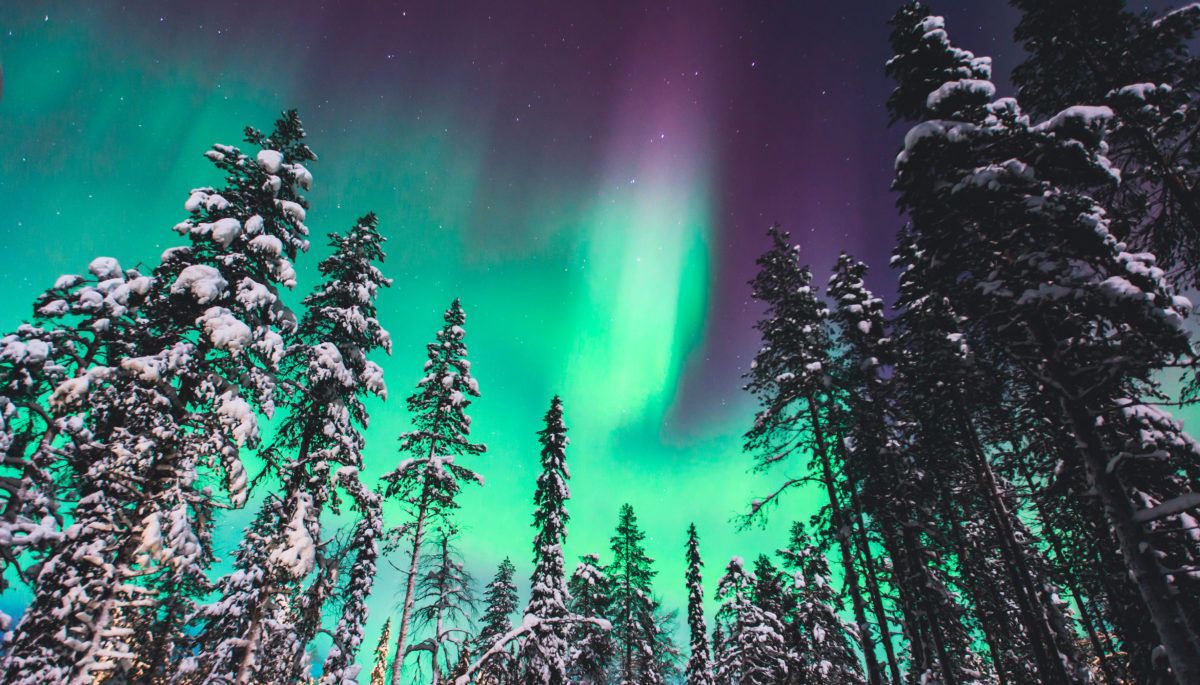 Northern Lights