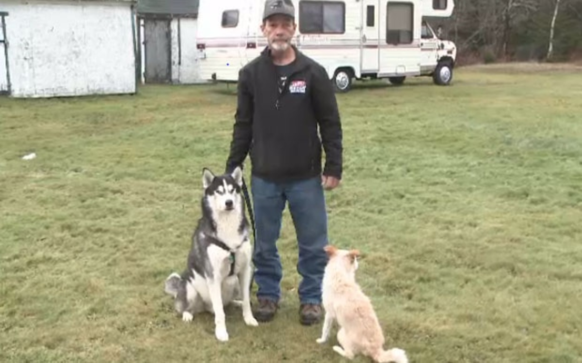 Waidson and his dogs