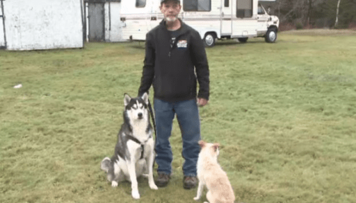 Waidson and his dogs