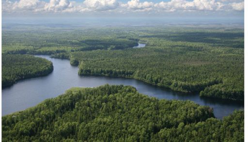 Alberta's boreal forest seen from above