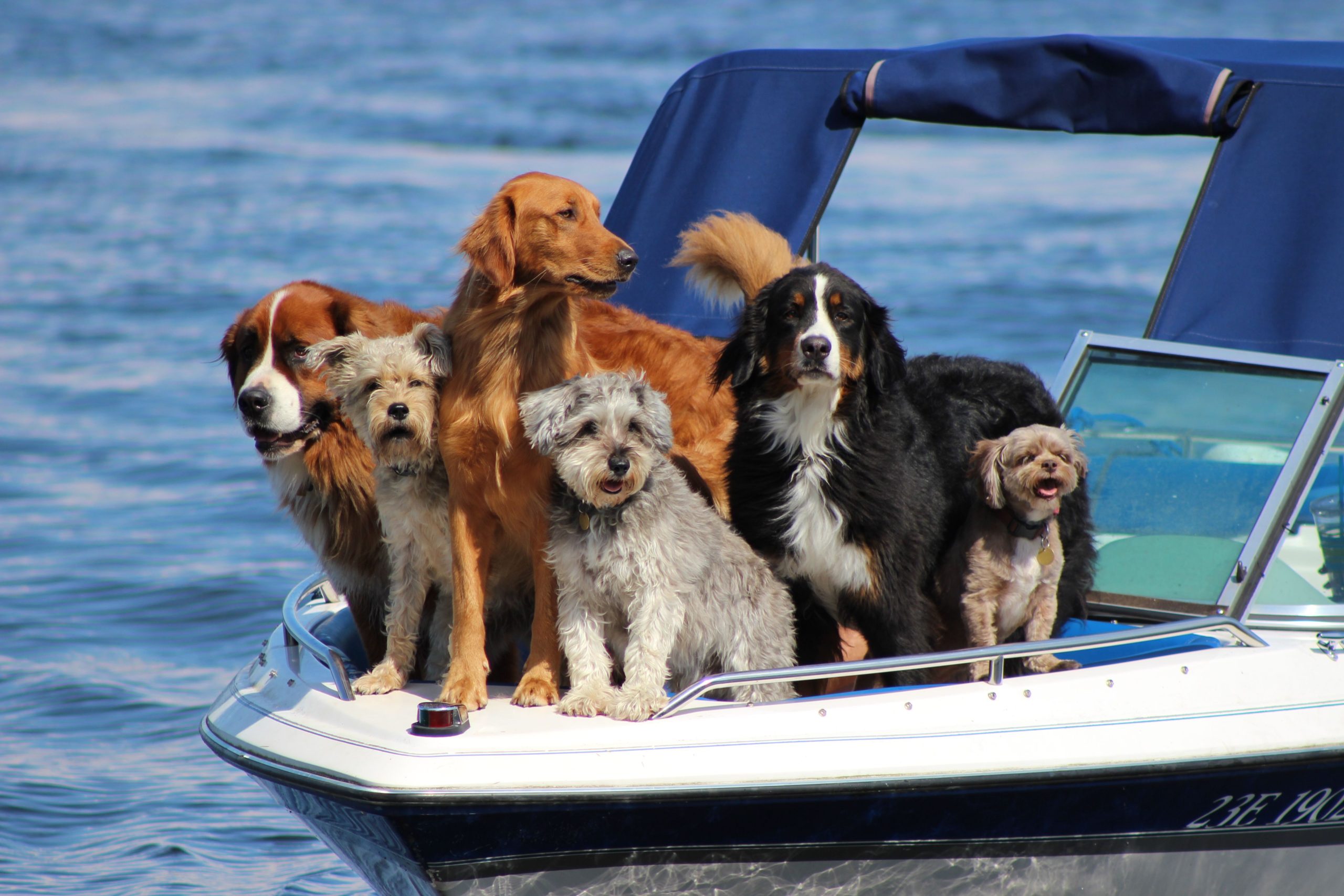 Cameron Lake boat crew