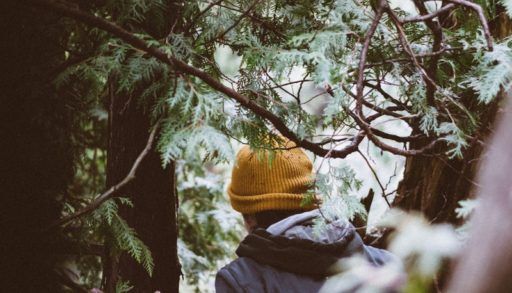 Person going into the woods