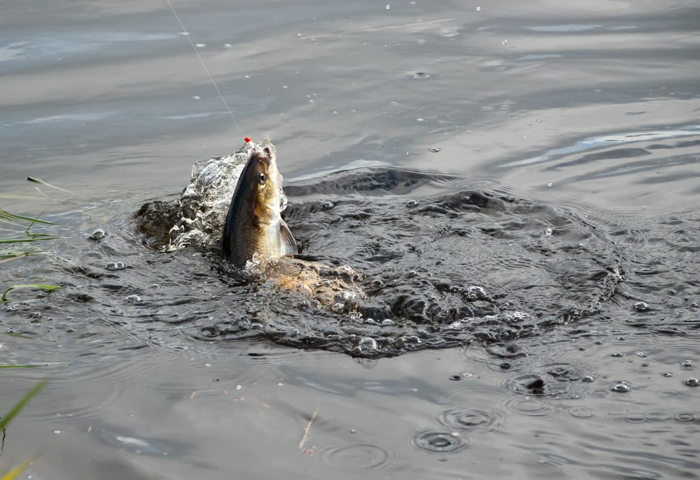 Annapolis River, Nova Scotia
