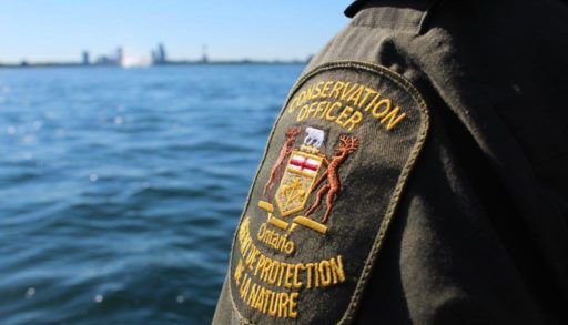 A conservation officer's crest badge