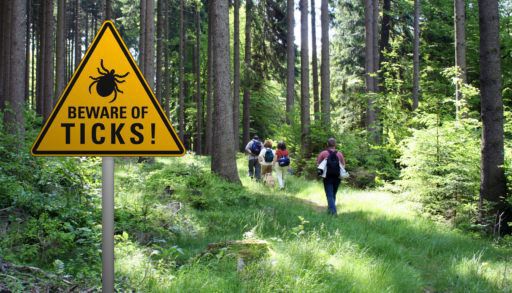 tick-sign-forest-canada