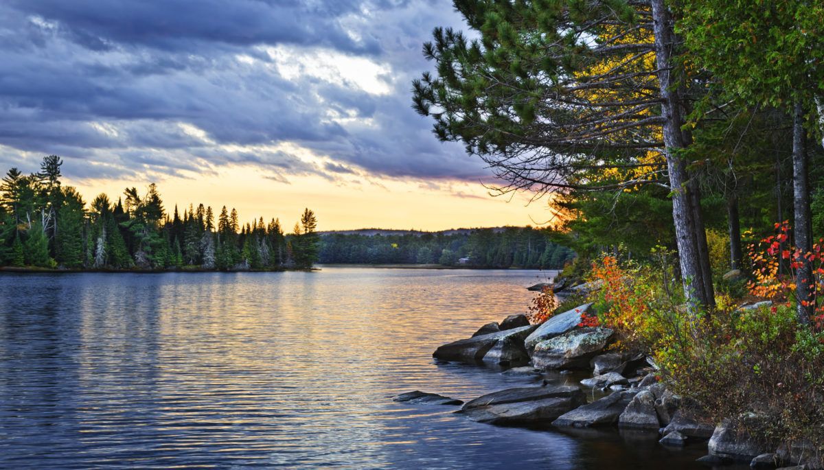 Natural-shoreline-Sunset-and-pines-at-Lake-of-Two-Rivers-Algonquin-Park-Ontario