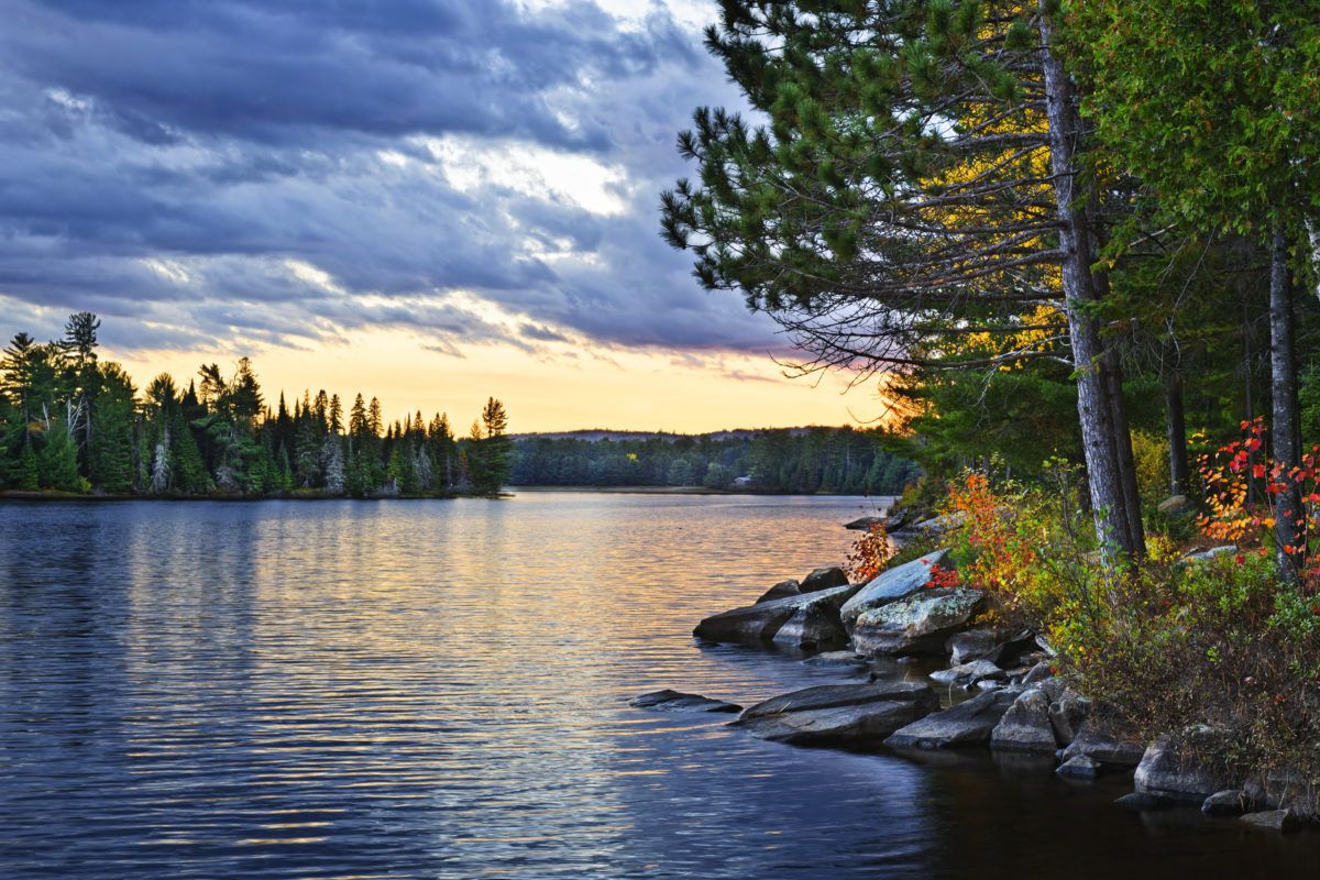 Natural-shoreline-Sunset-and-pines-at-Lake-of-Two-Rivers-Algonquin-Park-Ontario