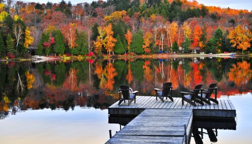 a dock with muskoka chairs with colorful fall leaves in the background reflected on the lake