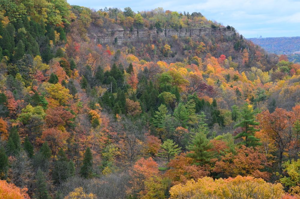 A view of the Niagara Escarpment cliffs in autumn