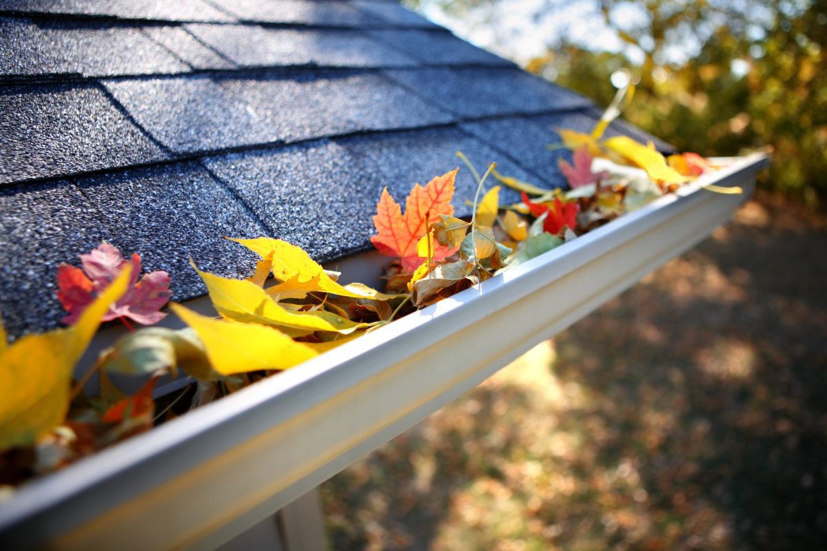 A picture of a rain gutter filled with autumn leaves