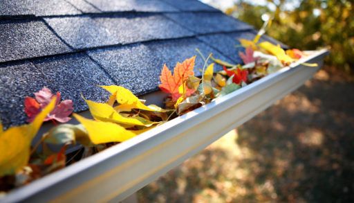 A picture of a rain gutter filled with autumn leaves