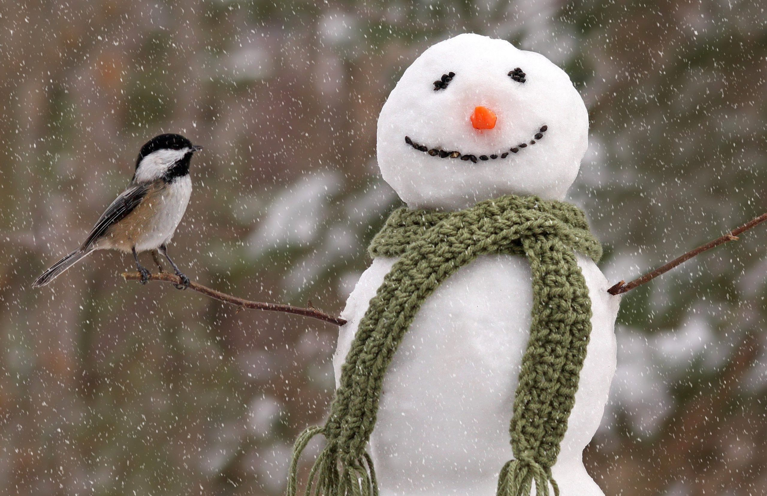 black-capped-chickadees-and-a-snowman
