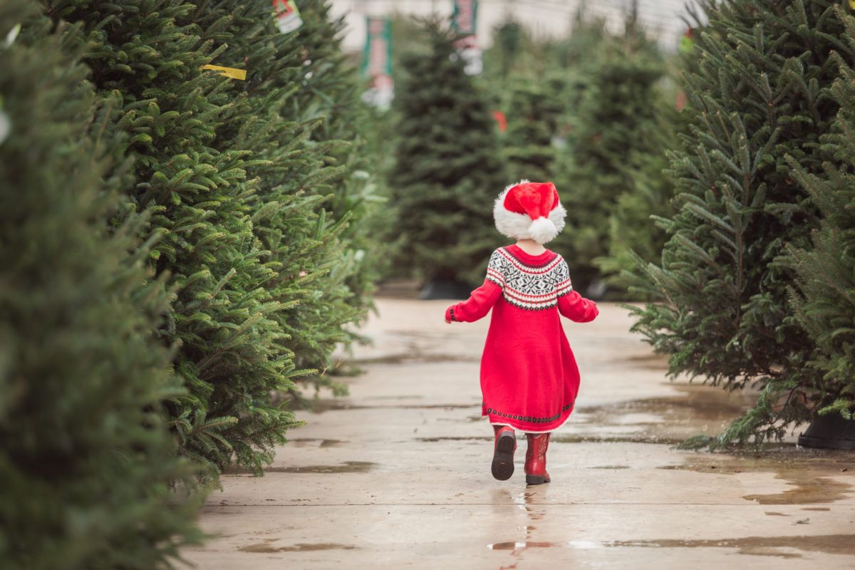 little-girl-running-through-christmas-tree-farm
