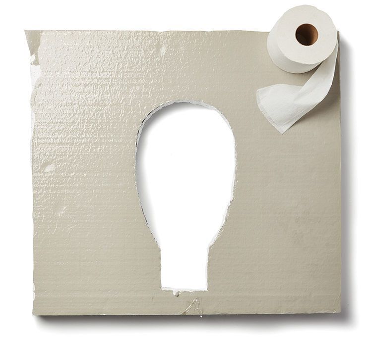 outhouse seat cut out of styrofoam