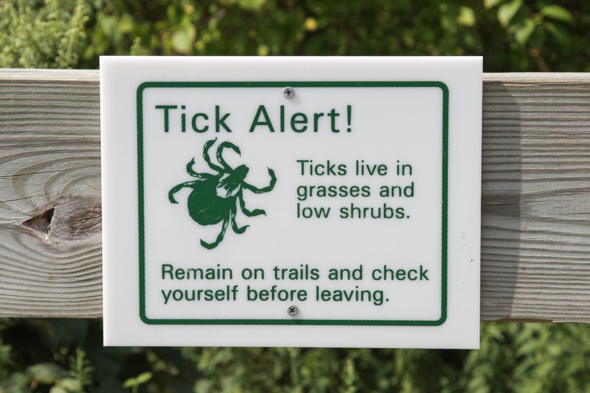 Sign warning of ticks