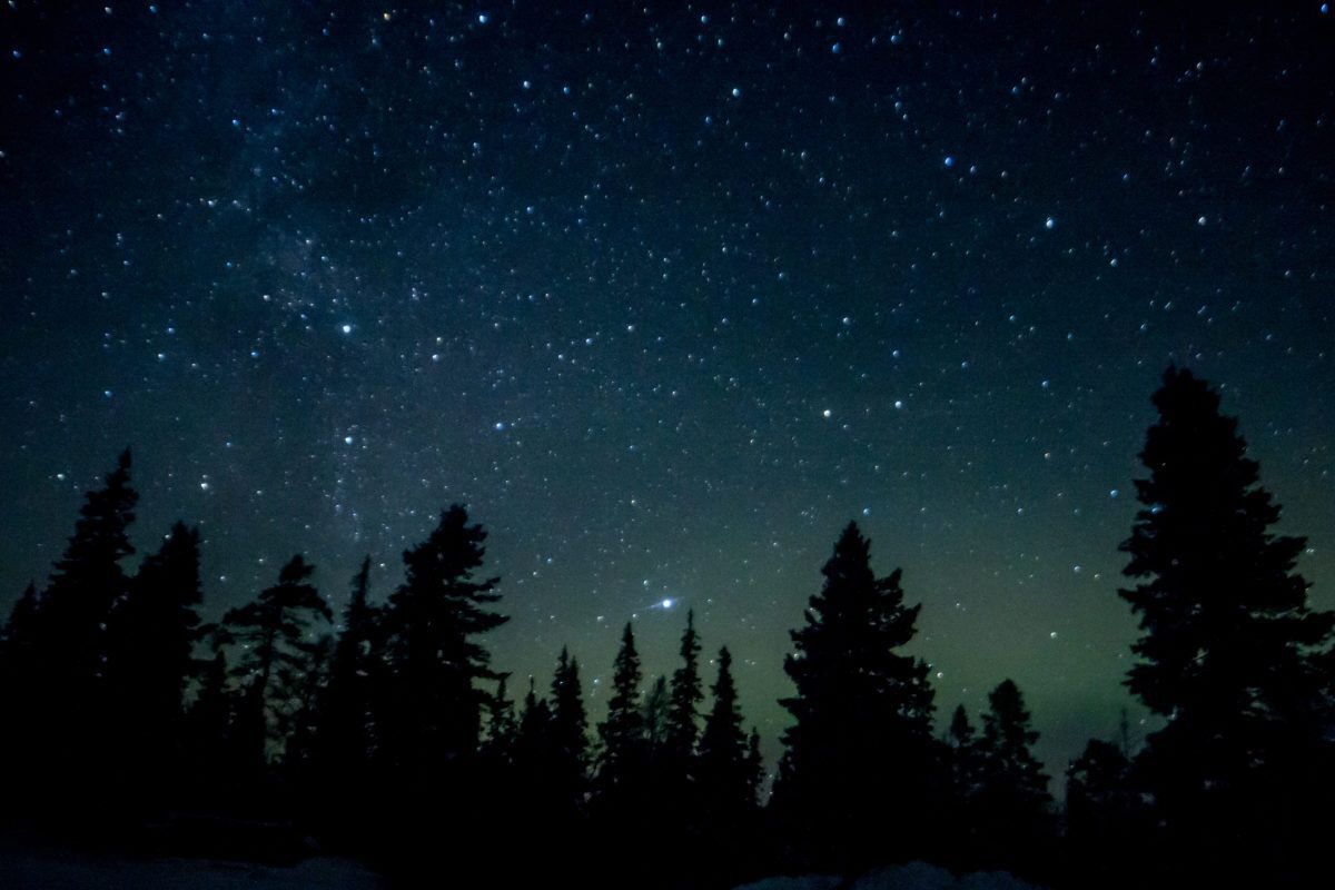 Silhouetted forest at night with the stars above.