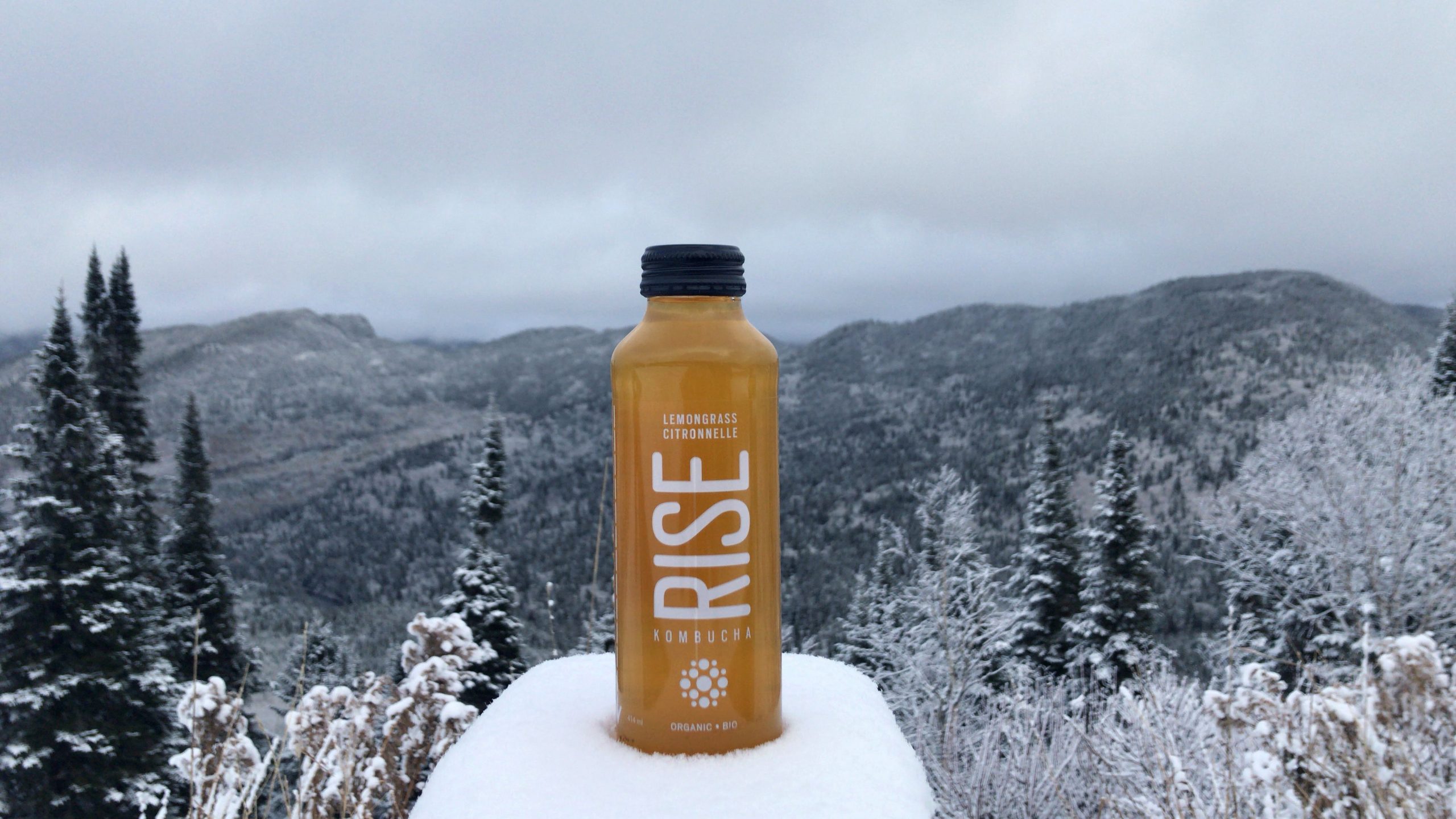 A bottle of RISE Kombucha on a snowy mountain