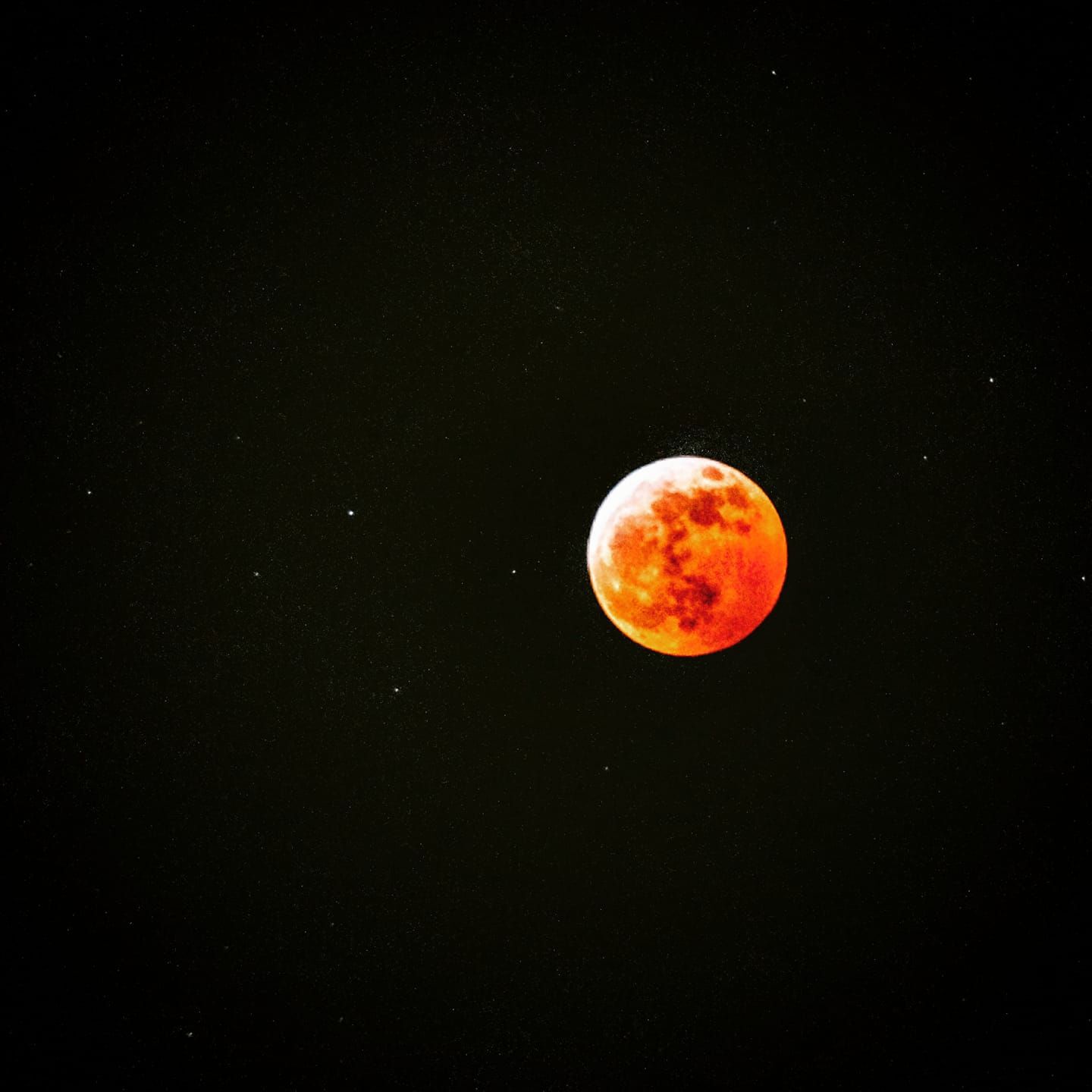 The super blood wolf moon
