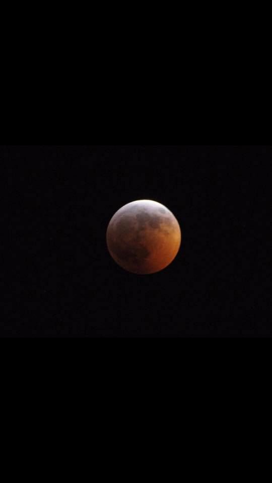 The super blood wolf moon
