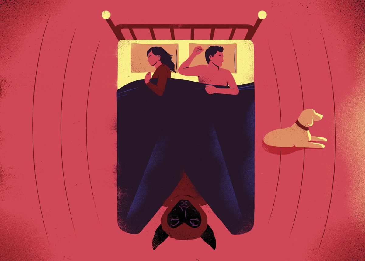 an illustration of people in bed with a dog on the floor and a bat