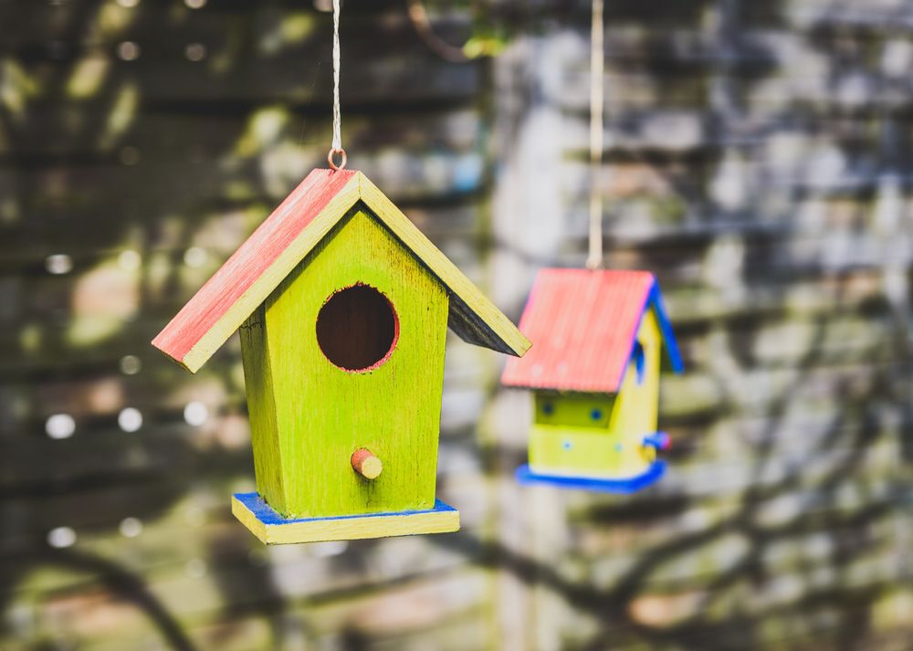 a-birdhouse-hanging-from-a-tree