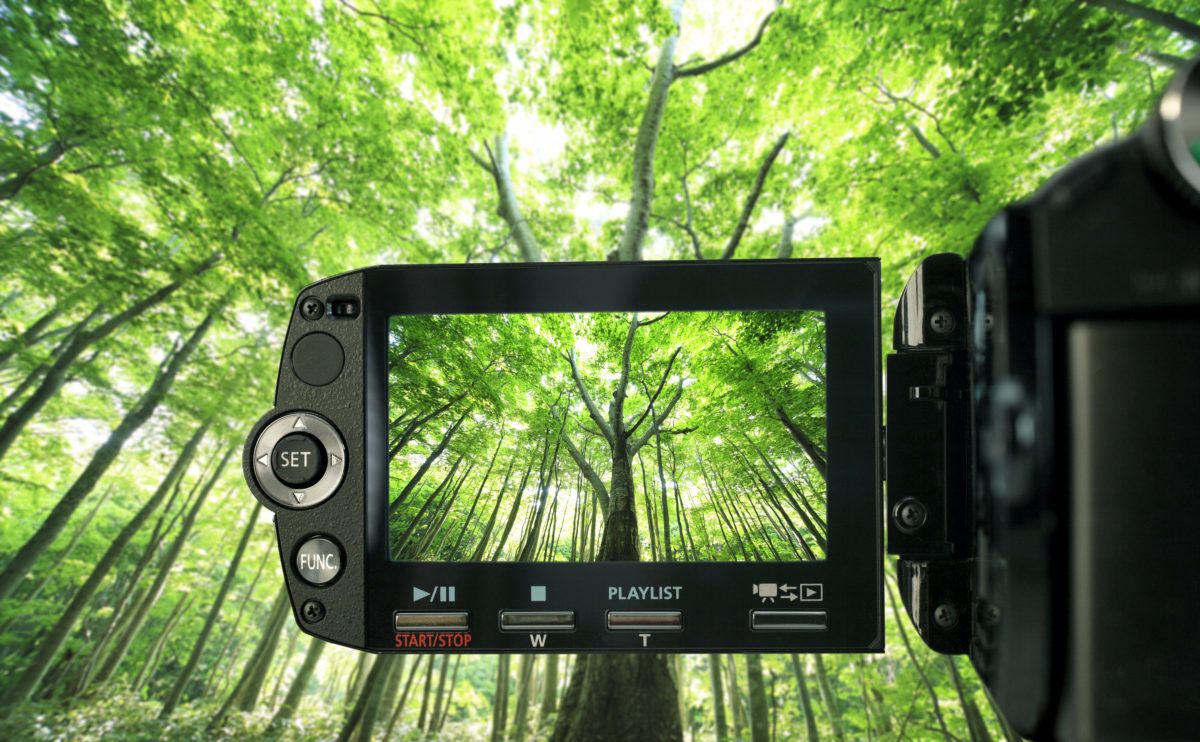 A camera filming trees.
