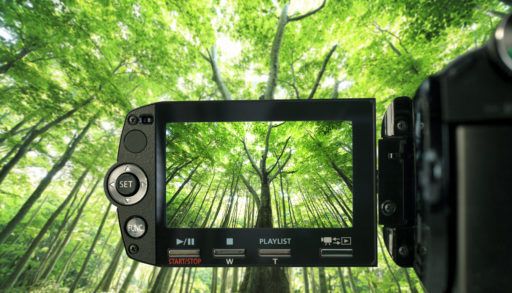 A camera filming trees.