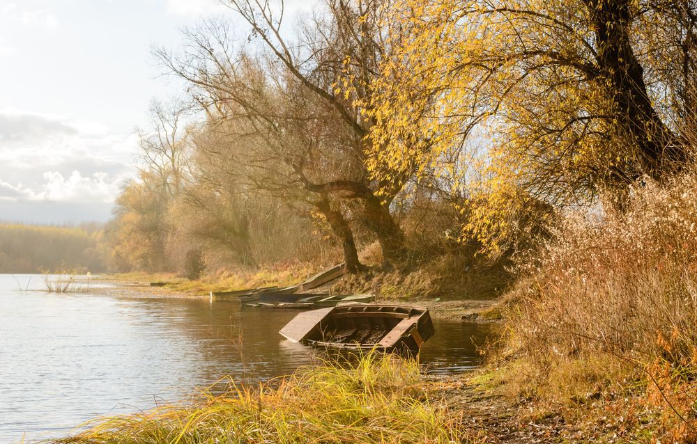 an-abandoned-boat-on-the-lake