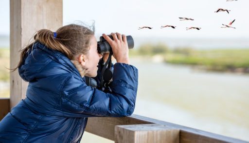 a-young-girl-with-binoculars-bird-watching