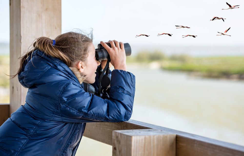 a-young-girl-with-binoculars-bird-watching