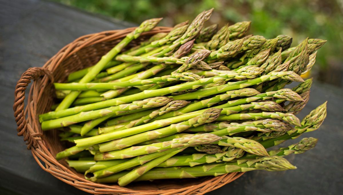 basket of fresh asparagus