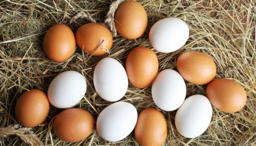 white-and-brown-eggs-law-on-a-bed-of-hay