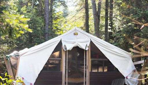wall-tent-between-trees-in-cottage-country