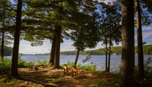 Two cottage chairs on an empty lot by a lake