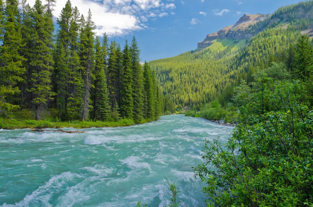 Mountain River at Rocky Mountains, Alberta, Canada